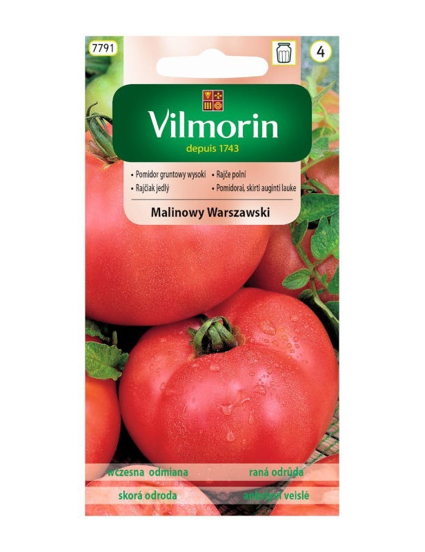 Pomidor gruntowy Malinowy Warszawski