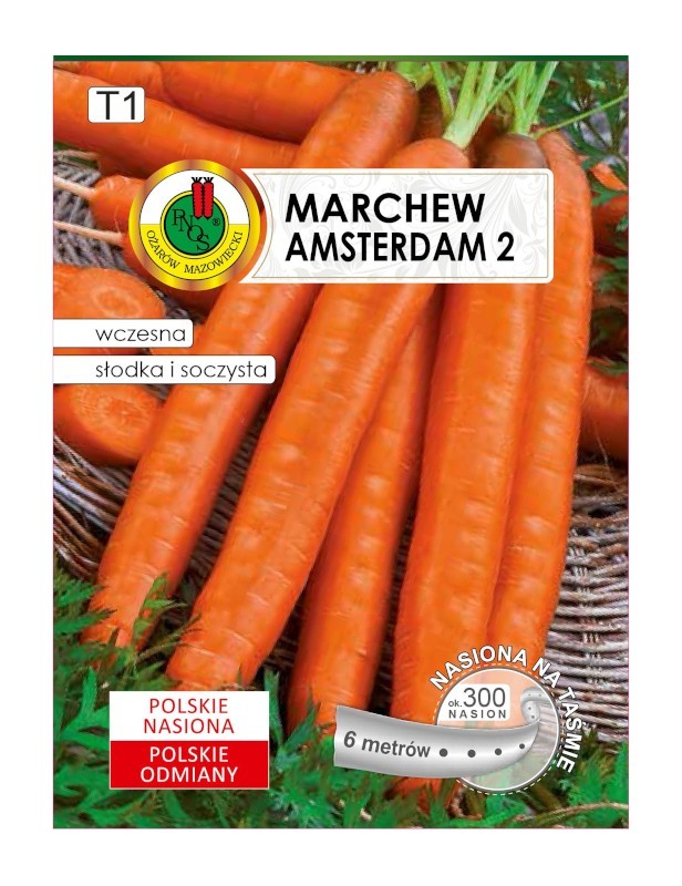 Marchew Amsterdam 2