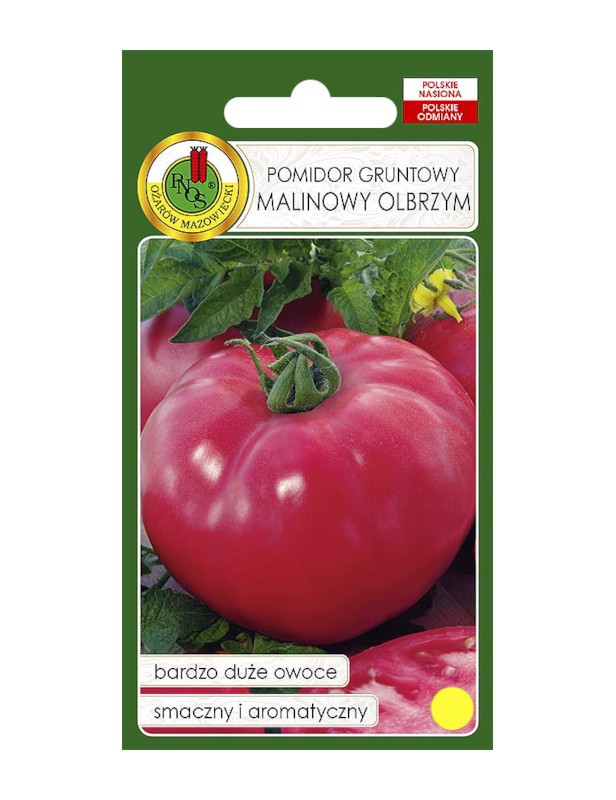 Pomidor gruntowy Malinowy Olbrzym